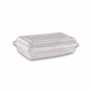 ⏳❗⇆CONTAINER- HIRO-H-2-NATURAL-100-500-4000